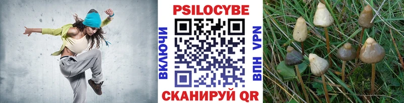 Псилоцибиновые грибы Psilocybe  Усть-Лабинск 