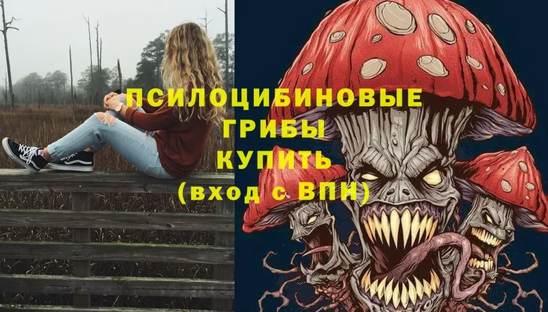 где продают   Усть-Лабинск  Псилоцибиновые грибы Psilocybine cubensis 