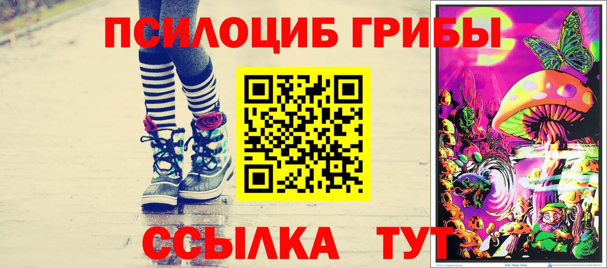 Галлюциногенные грибы GOLDEN TEACHER  купить закладку  Псилоцибиновые грибы прущие грибы  Усть-Лабинск 