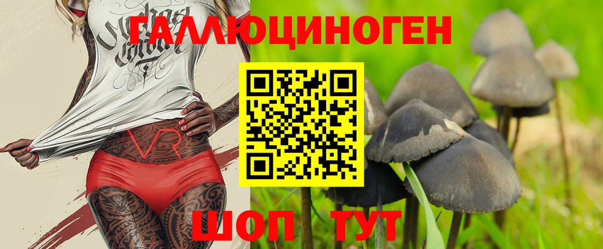 Псилоцибиновые грибы MAGIC MUSHROOMS Усть-Лабинск