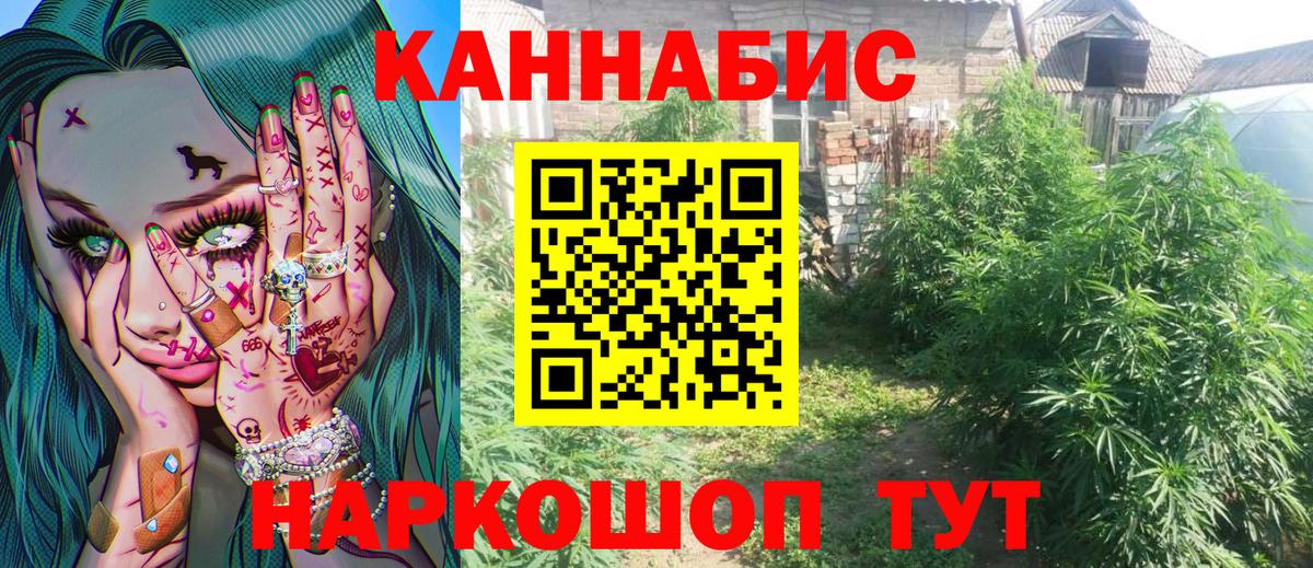 Канабис OG Kush Усть-Лабинск